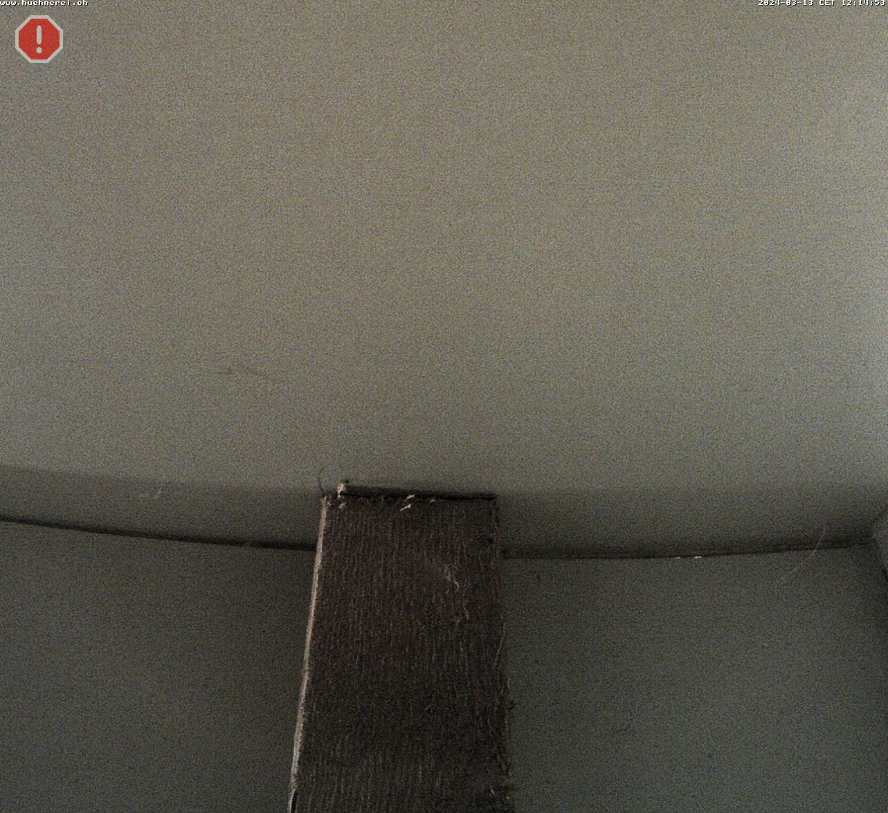 Webcam Stall 1